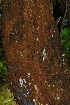  ( - OM3554)  @11 [ ] CreativeCommons - Attribution Non-Commercial Share-Alike (2011) Olivier Maurin University of Johannesburg