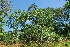  ( - OM3554)  @11 [ ] CreativeCommons - Attribution Non-Commercial Share-Alike (2011) Olivier Maurin University of Johannesburg