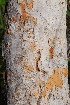  ( - OM3558)  @11 [ ] CreativeCommons - Attribution Non-Commercial Share-Alike (2011) Olivier Maurin University of Johannesburg