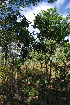  ( - OM3562)  @11 [ ] CreativeCommons - Attribution Non-Commercial Share-Alike (2011) Olivier Maurin University of Johannesburg