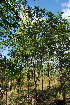  ( - OM3563)  @11 [ ] CreativeCommons - Attribution Non-Commercial Share-Alike (2011) Olivier Maurin University of Johannesburg