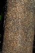  ( - OM3592)  @11 [ ] CreativeCommons - Attribution Non-Commercial Share-Alike (2011) Olivier Maurin University of Johannesburg