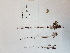  ( - BOT-CHARS-0589)  @11 [ ] CreativeCommons - Attribution (2019) Unspecified Centre for Biodiversity Genomics