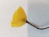  ( - BOT-CHARS-0610)  @11 [ ] CreativeCommons - Attribution (2019) Unspecified Centre for Biodiversity Genomics