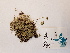  ( - BOT-CHARS-0642)  @11 [ ] CreativeCommons - Attribution (2019) Unspecified Centre for Biodiversity Genomics