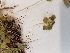  ( - BOT-CHARS-0642)  @11 [ ] CreativeCommons - Attribution (2019) Unspecified Centre for Biodiversity Genomics