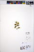  ( - HERB0132)  @11 [ ] CreativeCommons - Attribution Non-Commercial Share-Alike (2013) Unspecified UBC Herbarium