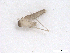  ( - BIOUG01785-G03)  @12 [ ] CreativeCommons - Attribution (2012) CBG Photography Group Centre for Biodiversity Genomics
