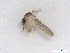 ( - BIOUG01785-G04)  @12 [ ] CreativeCommons - Attribution (2012) CBG Photography Group Centre for Biodiversity Genomics