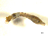  ( - BIOUG01783-D06)  @12 [ ] CreativeCommons - Attribution (2012) CBG Photography Group Centre for Biodiversity Genomics