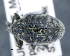  (Larinus centaurii - CNCCOLVG00011010)  @11 [ ] c (2020) Vasily Grebennikov CFIA