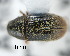  ( - CNCCOLVG00000609)  @11 [ ] Copyright (2010) Unspecified Canadian Food Inspection Agency