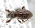  ( - CNCCOLVG00000844)  @15 [ ] Copyright (2010) Unspecified Canadian Food Inspection Agency