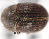  ( - CNCCOLVG00001351)  @11 [ ] Copyright (2011) Vasily Grebennikov CFIA