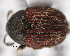  ( - CNCCOLVG00001358)  @11 [ ] Copyright (2011) Vasily Grebennikov CFIA
