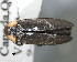  ( - CNCCOLVG00001512)  @12 [ ] Copyright (2011) Vasily Grebennikov CFIA