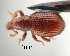  ( - CNCCOLVG00002021)  @12 [ ] Copyright (2011) Vasily Grebennikov CFIA