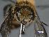  ( - 8520)  @12 [ ] CreativeCommons  Attribution Non-Commercial (by-nc) (2017) Institut for integrative nature conservation research Institut for integrative nature conservation research