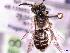  ( - 7778)  @12 [ ] CreativeCommons  Attribution Non-Commercial (by-nc) (2017) Institut for integrative nature conservation research Institut for integrative nature conservation research