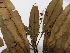  ( - L122_5475)  @11 [ ] Unspecified (default): All Rights Reserved  Unspecified Unspecified