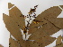  ( - L128_14924)  @11 [ ] Unspecified (default): All Rights Reserved  Unspecified Unspecified
