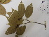  ( - L26_6912)  @11 [ ] Unspecified (default): All Rights Reserved  Unspecified Unspecified