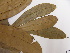  ( - L33_16657)  @11 [ ] Unspecified (default): All Rights Reserved  Unspecified Unspecified