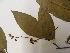  ( - L57_9998)  @11 [ ] Unspecified (default): All Rights Reserved  Unspecified Unspecified