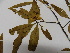  ( - L70_LAO56)  @11 [ ] Unspecified (default): All Rights Reserved  Unspecified Unspecified