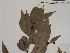  ( - L79_1102)  @11 [ ] Unspecified (default): All Rights Reserved  Unspecified Unspecified