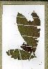  ( - PB1235)  @11 [ ] Unspecified (default): All Rights Reserved  Unspecified Unspecified