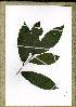  ( - PB1255)  @11 [ ] Unspecified (default): All Rights Reserved  Unspecified Unspecified