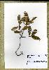  ( - WAG13_SIL29)  @11 [ ] Unspecified (default): All Rights Reserved  Unspecified Unspecified