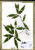  ( - WAG3_9584)  @11 [ ] Unspecified (default): All Rights Reserved  Unspecified Unspecified