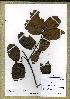  ( - WAG5_8293)  @11 [ ] Unspecified (default): All Rights Reserved  Unspecified Unspecified