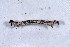  ( - DLW-003930)  @11 [ ] Copyright (2022) The Caterpillar Lab University of Connecticut