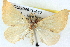  ( - BIOUG04671-A12)  @11 [ ] CreativeCommons - Attribution (2013) CBG Photography Group Centre for Biodiversity Genomics