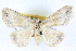  ( - BIOUG04671-B06)  @14 [ ] CreativeCommons - Attribution (2013) CBG Photography Group Centre for Biodiversity Genomics