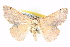  ( - BIOUG04671-E02)  @13 [ ] CreativeCommons - Attribution (2013) CBG Photography Group Centre for Biodiversity Genomics
