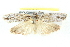  ( - BIOUG04671-E09)  @14 [ ] CreativeCommons - Attribution (2013) CBG Photography Group Centre for Biodiversity Genomics