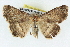  ( - BIOUG04671-E11)  @13 [ ] CreativeCommons - Attribution (2013) CBG Photography Group Centre for Biodiversity Genomics