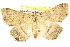  ( - BIOUG04671-E12)  @13 [ ] CreativeCommons - Attribution (2013) CBG Photography Group Centre for Biodiversity Genomics