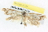  ( - BIOUG04671-F09)  @12 [ ] CreativeCommons - Attribution (2013) CBG Photography Group Centre for Biodiversity Genomics