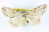  ( - BIOUG04671-F12)  @12 [ ] CreativeCommons - Attribution (2013) CBG Photography Group Centre for Biodiversity Genomics
