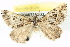  ( - BIOUG04671-G03)  @12 [ ] CreativeCommons - Attribution (2013) CBG Photography Group Centre for Biodiversity Genomics