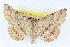 ( - BIOUG04671-G11)  @13 [ ] CreativeCommons - Attribution (2013) CBG Photography Group Centre for Biodiversity Genomics