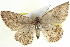  ( - BIOUG04000-B08)  @14 [ ] CreativeCommons - Attribution (2012) CBG Photography Group Centre for Biodiversity Genomics