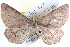  ( - BIOUG04000-D02)  @14 [ ] CreativeCommons - Attribution (2012) CBG Photography Group Centre for Biodiversity Genomics
