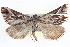  ( - BIOUG04000-G11)  @14 [ ] CreativeCommons - Attribution (2012) CBG Photography Group Centre for Biodiversity Genomics