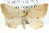  ( - BIOUG04000-H11)  @11 [ ] CreativeCommons - Attribution (2012) CBG Photography Group Centre for Biodiversity Genomics
